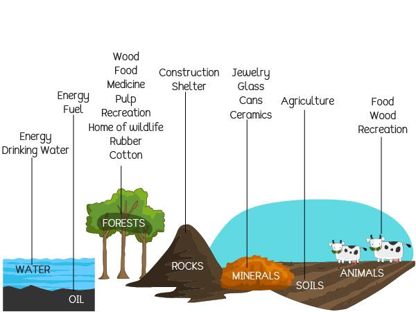 a-sustainable-community-reach-the-world